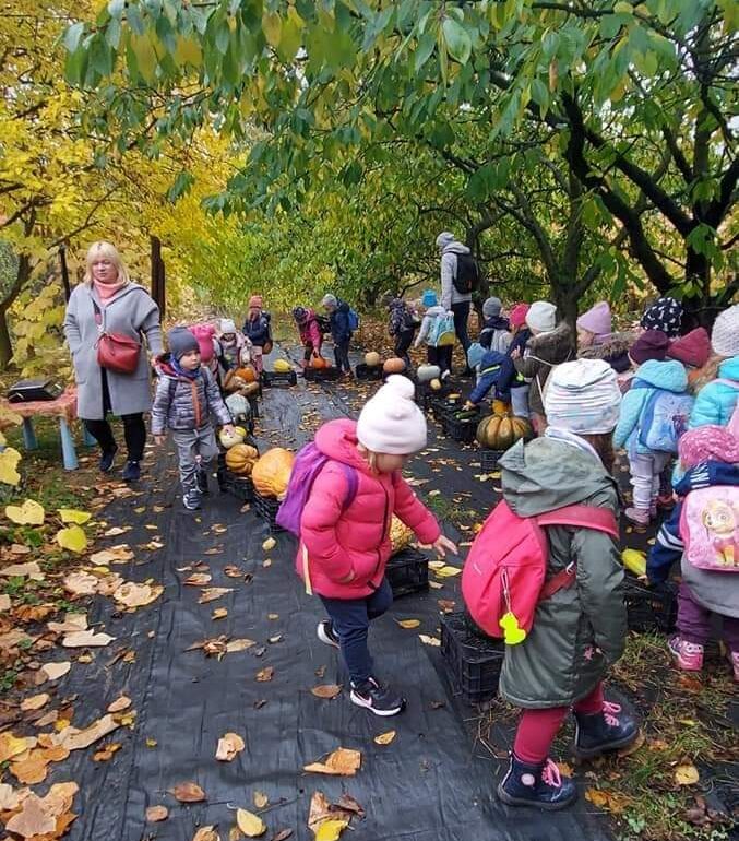 dzieci spacerwują śród liści