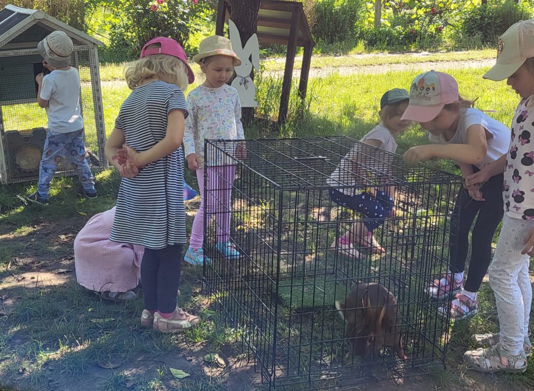 dzieci stoją przy klatce z królikiem